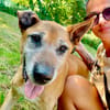 Robin sucht ein Zuhause