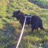 ELENYA -sensibel & feinfühlig-