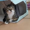 Mara, Mimi und Melli