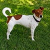 Mia 💜💜💜 Für-immer-Zuhause gesucht