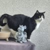 Olena sucht ein ruhiges Zuhause