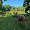 DARO * freundlicher Bub vertraut immer mehr