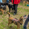 NISHA sucht ihre eigene aktive Familie