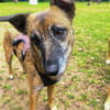 NISHA sucht ihre eigene aktive Familie