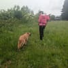Dein neuer Begleiter