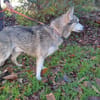 oslo