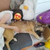 Dia ist lieb und lebensfroh