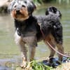 Unser Schnuckelchen  TOBY