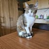 Die Brüder Tito und Toto Fiv+, unser DreamTeam