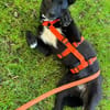 SALLY * kleiner freundlicher Wirbelwind