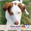 Filippa - will geliebt werden und immer bei euch bleiben