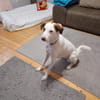 Filippa - will geliebt werden und immer bei euch bleiben