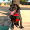 HUGO (Martina)