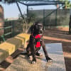HUGO (Martina)