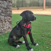 HUGO (Martina)
