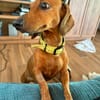 winnie la belle vie
