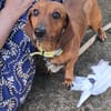 winnie la belle vie
