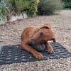 winnie la belle vie