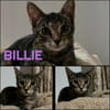 BILLIE