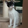 Liebevolles Handicat Geschwisterpaar