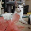Liebevolles Handicat Geschwisterpaar