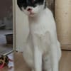 Liebevolles Handicat Geschwisterpaar