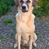 Lucy sucht ihr Fürimmerzuhause für ihren Lebensabend