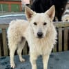 Oliver 💗 wartet in 31621 Pennigsehl auf deinen Besuch