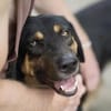Miro sucht seine Familie