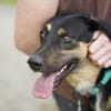 Miro sucht seine Familie