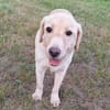 TIMMI sucht sein Zuhause