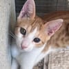 Nefeli & Orion suchen gemeinsam ein Zuhause