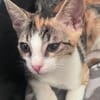 Nefeli & Orion suchen gemeinsam ein Zuhause