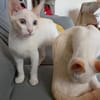 super lieber Pablo