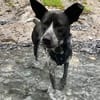 HANNES - sucht die Nadel im Heuhaufen!