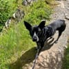 HANNES - sucht die Nadel im Heuhaufen!