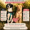 Millie & Ted suchen DICH!