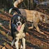 Millie & Ted suchen DICH!