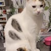 Liebe Fleki sucht ihre Familie