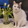 Liebe Fleki sucht ihre Familie