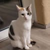 Liebe Fleki sucht ihre Familie