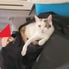 Liebe Fleki sucht ihre Familie