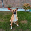 Soziale GINA liebt die Menschen ♥