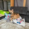 Lotti sucht ihr Zuhause