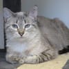 BIJOU (réservée)