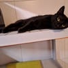 Réservé binx