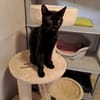 Réservé binx