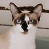 Fiona
