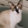 Fiona