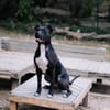 Onyx